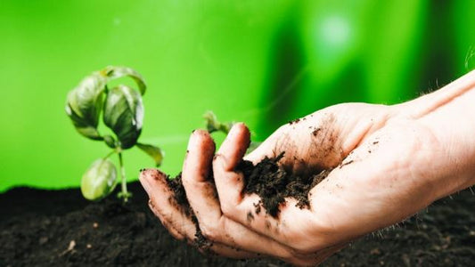 Soil Preparation: A Necessary Step in Planning Your Garden